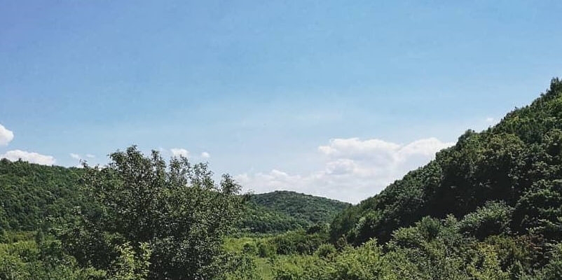 https://back.b.devtwin.multikey.studio/media/place/-080827_lvova_gora_001-802x400.jpg